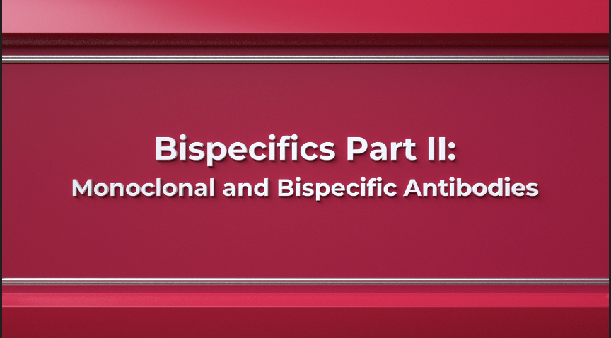 Bispecifics Part 2: Monoclonal and Bispecific Antibodies